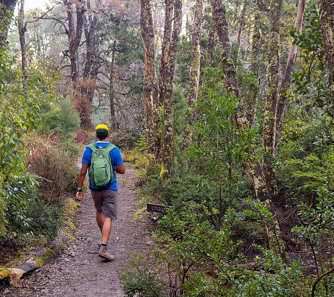 Experiencia  Punta Manzano