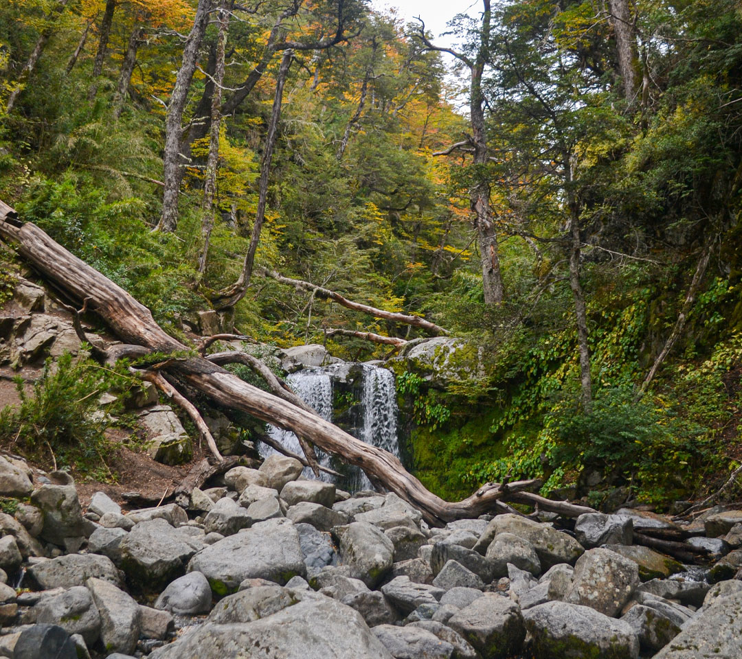 Experiencia  Punta Manzano