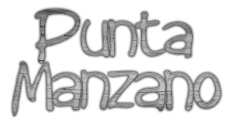 Logo Punta Manzano